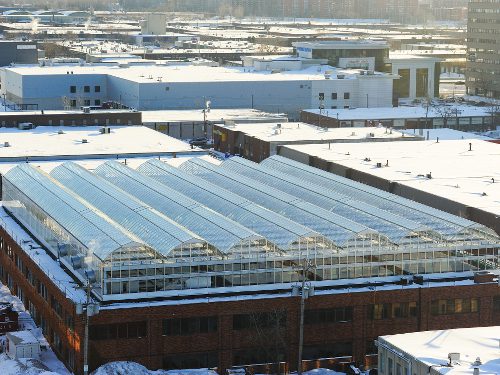 1_LufaFarms_greenhouse